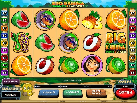 Big Kahuna Snakes and Ladders